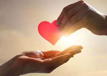 Zbiórka krwi w Malborku